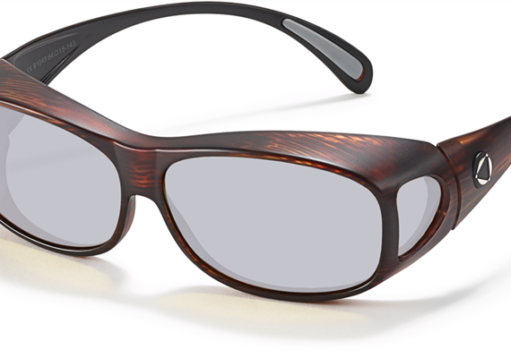 BIOCOVER braun L PC +AR ND20 BIOCOVER braun L PC +AR ND20