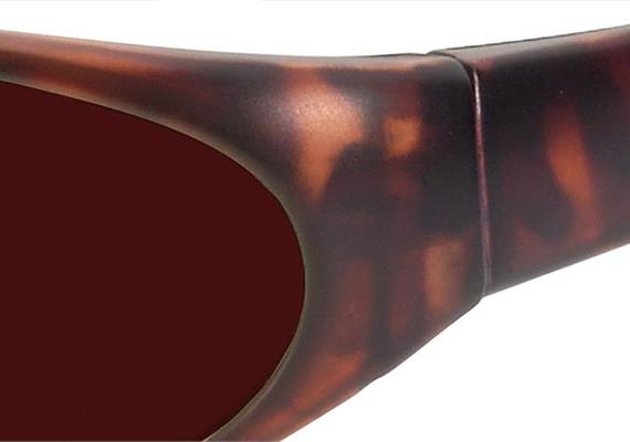 Sun 2 havanna PC +AR ML550 Pol 3