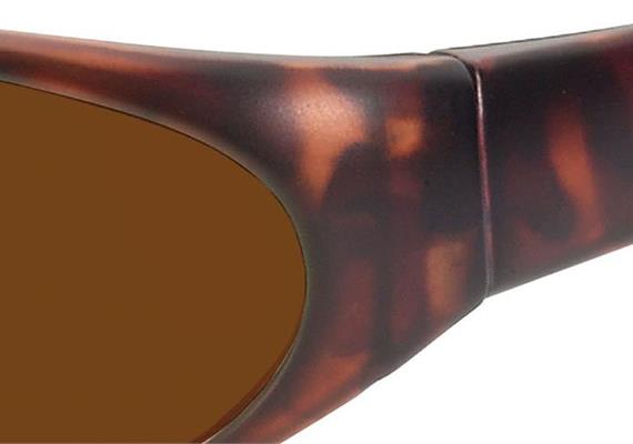 Sun 2 havanna PC +AR ML585