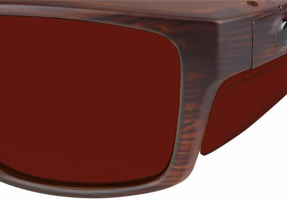 Sun Guard-1 braun PC +AR F550 POL1
