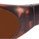 Sun Two havanna PC +AR F527 POL1