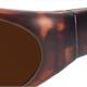 Sun Two havanna PC +AR F527 POL3