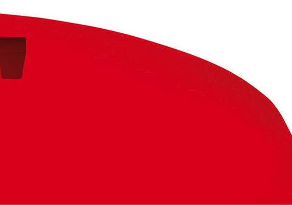 Applique sans bord L CR-39 F550