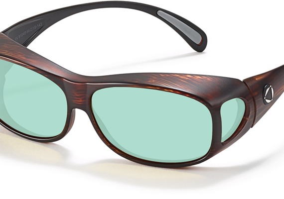 BIOCOVER brun L PC +AR Emeraude Medium BIOCOVER brun L PC +AR Emeraude Medium