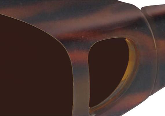 Biocover brun S PC +AR ML550 Pol 3