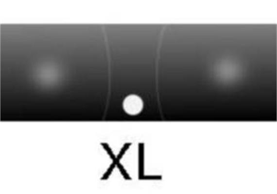 ColorClip Mask brut Gris XL