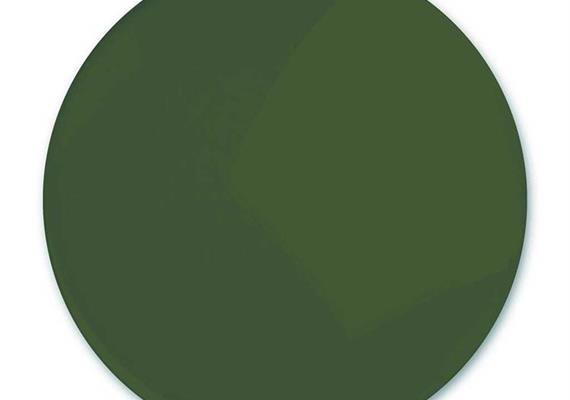 CR-39 2,2mm vert G15