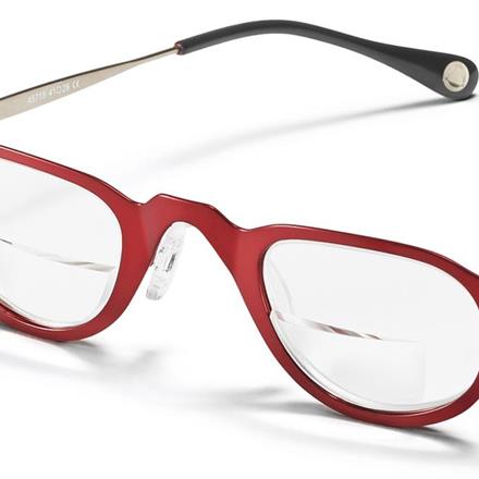 Lunettes-loupes bifocales 