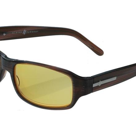 Lunettes solaire