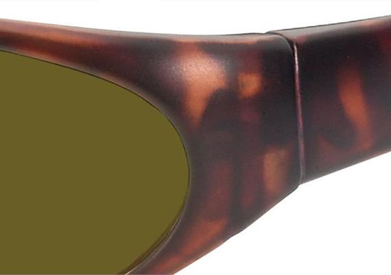 Sun 2 havanna PC +AR F450 Pol 1