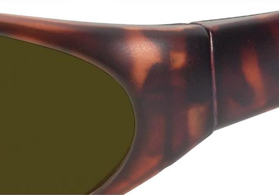 Sun 2 havanna PC +AR F450 Pol 3