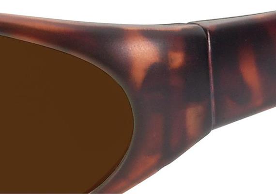 Sun 2 havanna PC +AR ML511 Pol 3