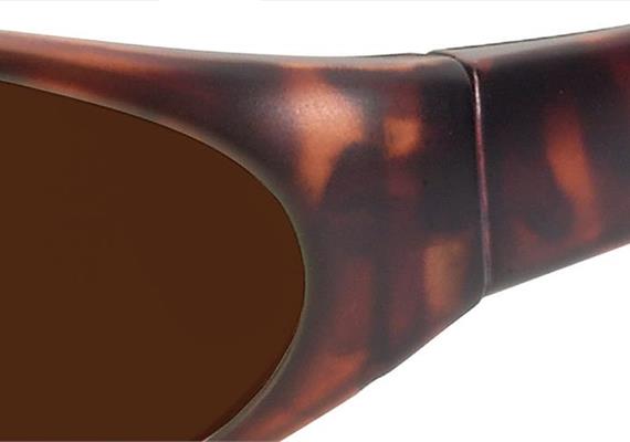 Sun 2 havanna PC +AR ML527 Pol 3