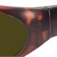 Sun Two havanna PC +AR F450 POL3