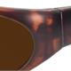 Sun Two havanna PC +AR F511 POL3